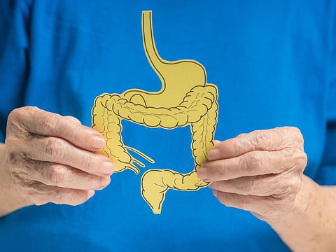 Close-up of hands old woman holding a large intestine shape made from yellow paper. Treatment and prevention of constipation and diarrhea. Intestinal microflora and probiotics. Healthcare concept