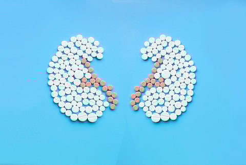 Kidneys made of pills on blue background. World Kidney Day concept