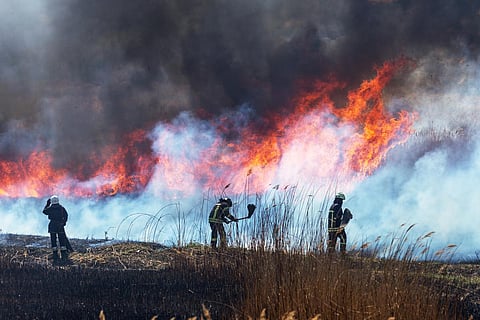 wildfire