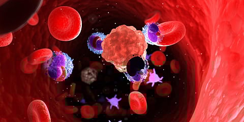 3d rendered medically accurate illustration of leucocytes attacking a cancer cell