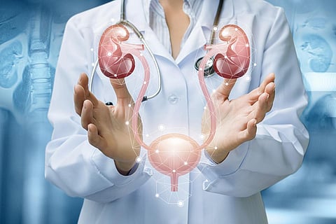 Trends in Catheter-Associated UTI Prevention Practices Examined Over Time