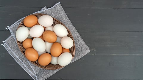 Chicken egg and duck egg on a black wooden table.