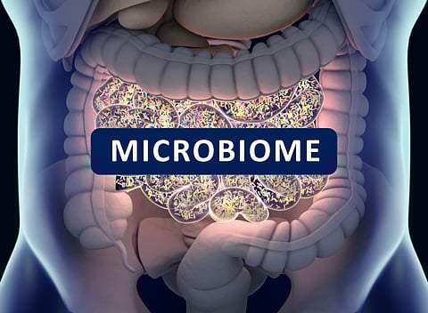 Microbiomes in the gut