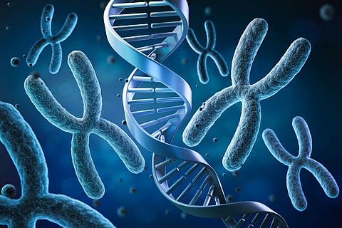 genes genetics DNA telomere