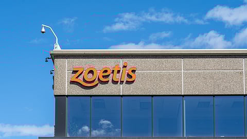 As Bird Flu Outbreak Worsens, Zoetis Gets Green Light for Poultry Vaccine