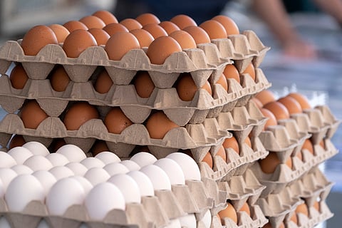 Photo of at least 10 large cartons of brown and white eggs