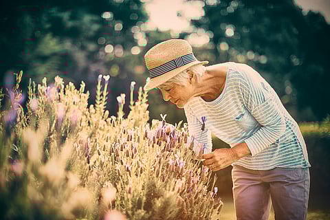 Senior woman smelling flowers