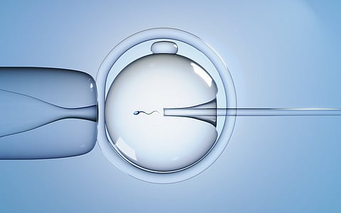 Primer bebé nacido de una fecundación in vitro controlada por un robot