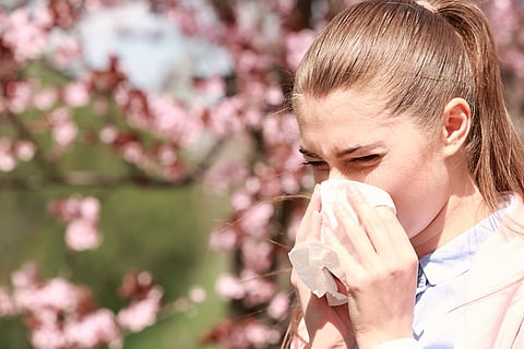 spring allergies sneezing nose allergy