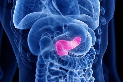 pancreas pancreatic