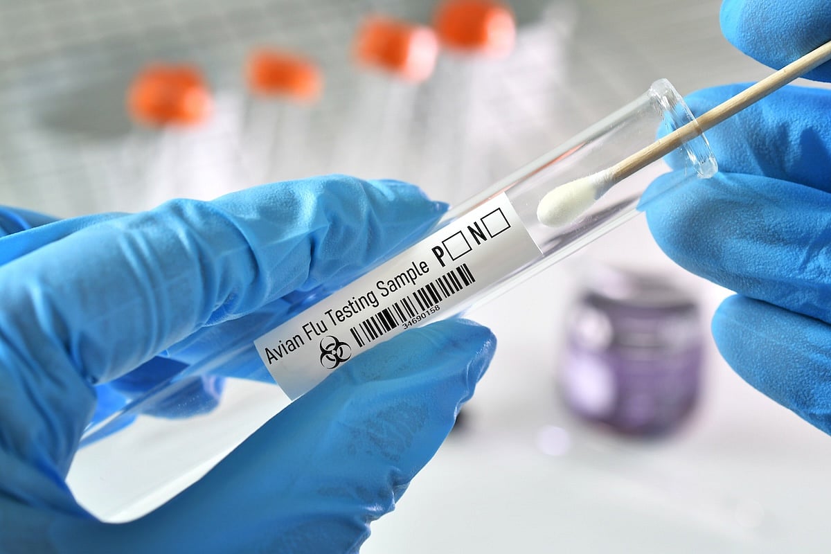 California Gives $25 Gift Cards To Boost Bird Flu Testing