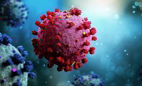 covid coronavirus
