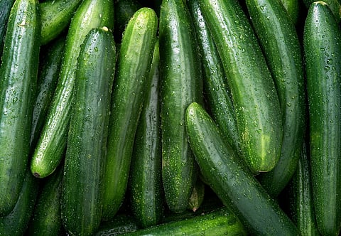 Cucumber background
