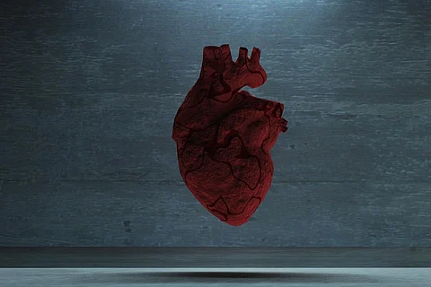 heart
