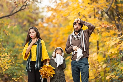 Fall Allergy Season