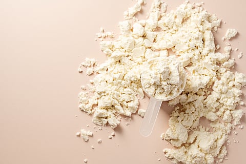 Protein powder. Vanilla flavour of protein powder in a scoop, closeup.