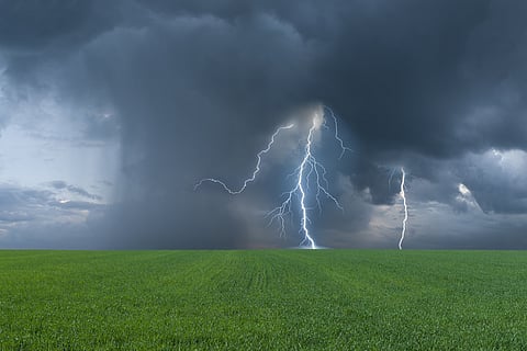 Green field and thunderstorm