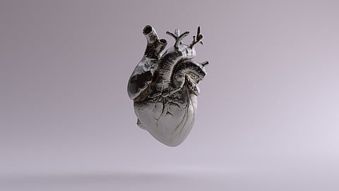 heart