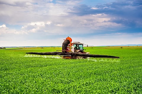 farmer spraying wheat crops
