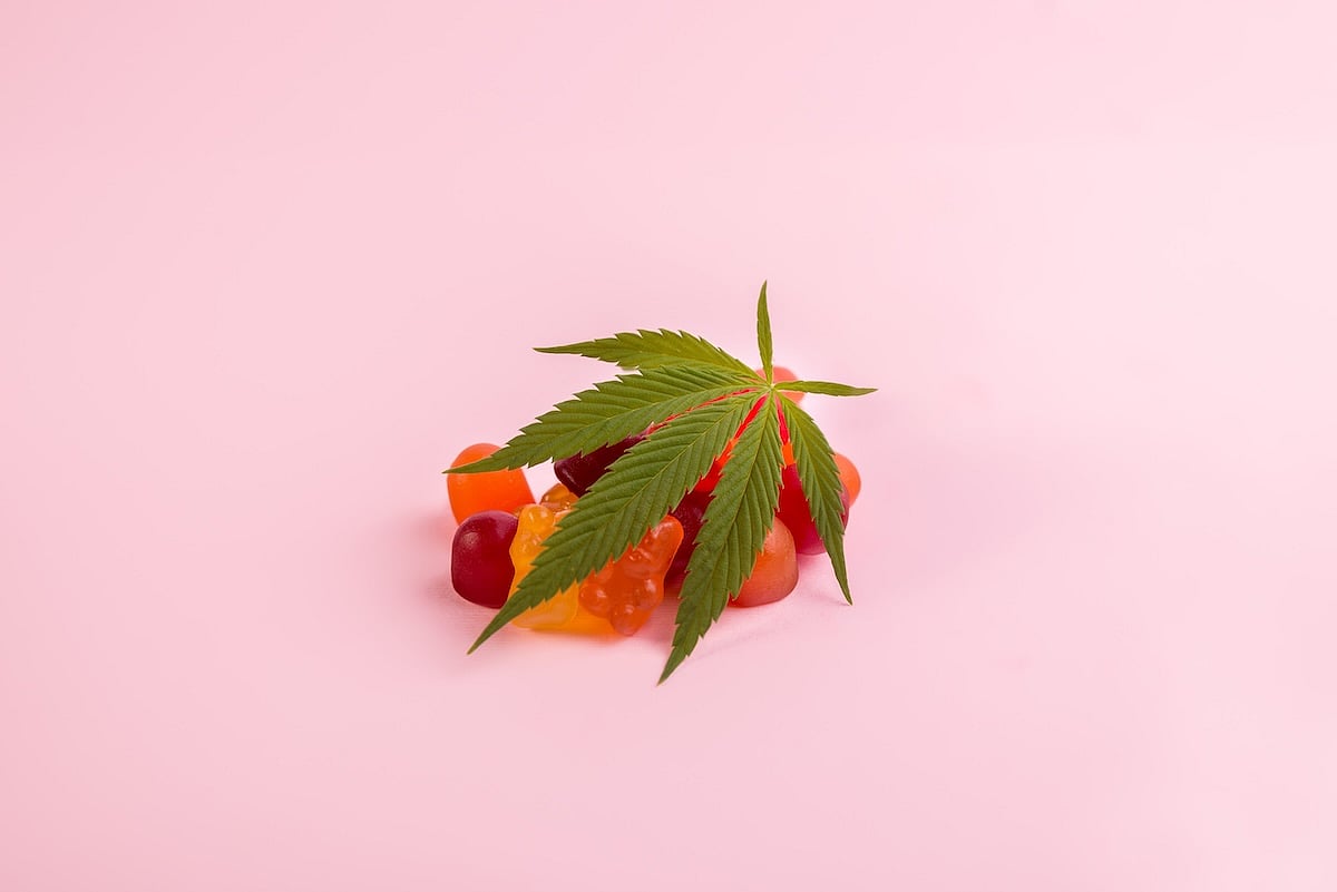 Child Poisonings Spur Oregon to Weigh New Limits for Cannabis Edibles