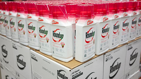 Roundup Weed and Grass Killer Concentrate Plus on display in the Home Depot.
