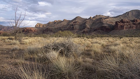 Soledad Canyon, Las Cruces desert scenery, showcasing erosion risk