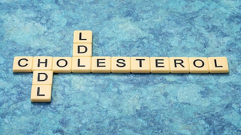 hdl and ldl cholesterol crossword in ivory letter tiles against textured handmade bark paper, health and medical concept