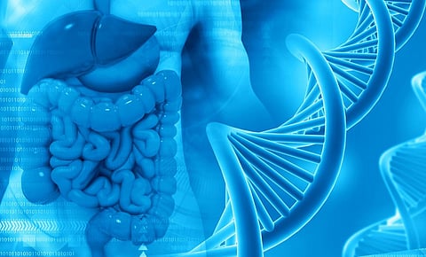 colon genetic genes DNA