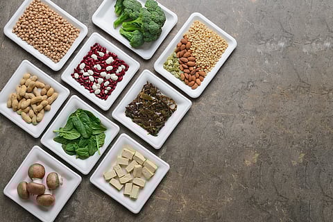 vegan protein sources