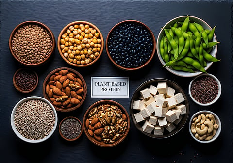 Plant-based Protein, Legumes, Soy Foods
