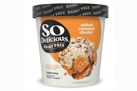 So Delicious Salted Caramel Cluster non-dairy frozen dessert pint