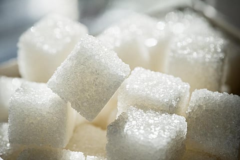 Sugar Exposure in Early Life Linked to Anxiety in Adulthood