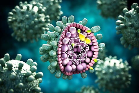 hepatitis b