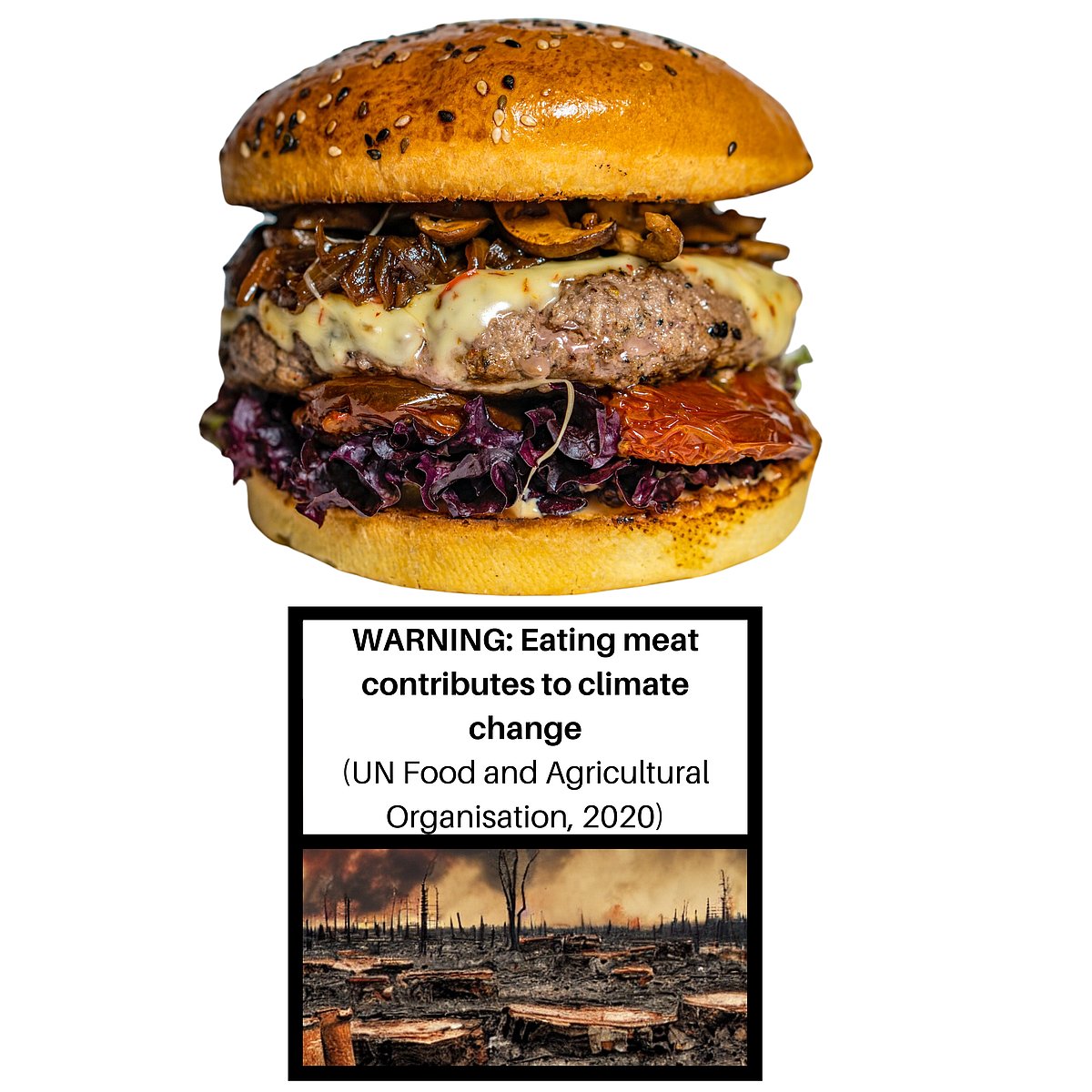 Does Meat Need Warning Labels on How It Harms Climate, Health?