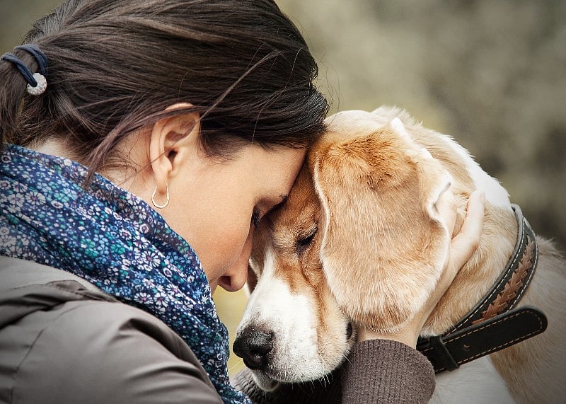Leaving Pets Behind Adds to Trauma, Danger for People in Crisis
