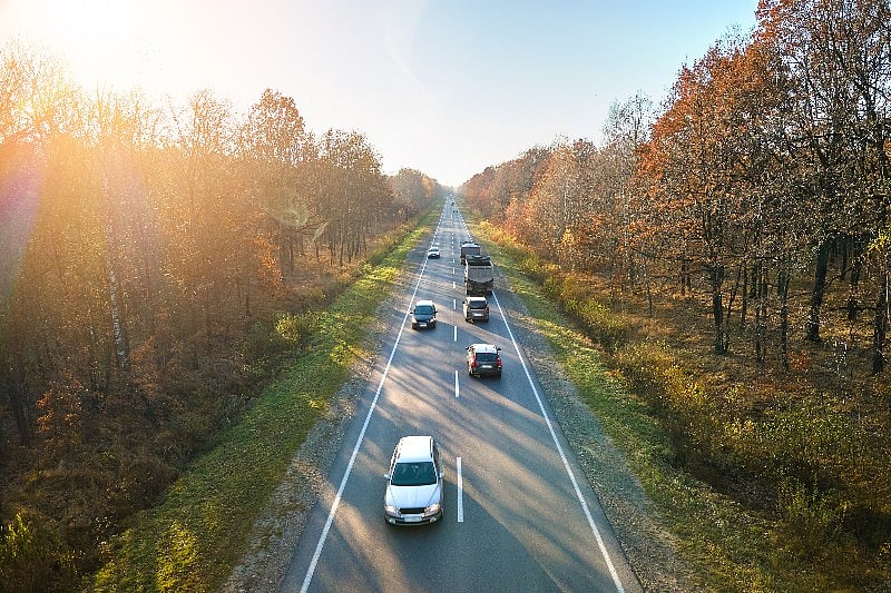 Roadside Trees, Bushes Are Cutting Air Pollution, Study Finds
