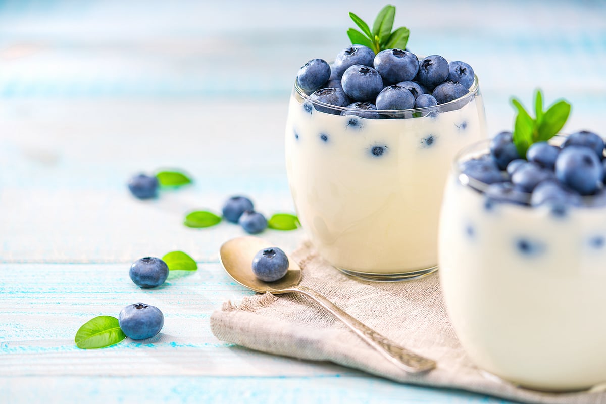 Yogurt Makers Can Make Limited Claims About Type 2 Diabetes Prevention: FDA