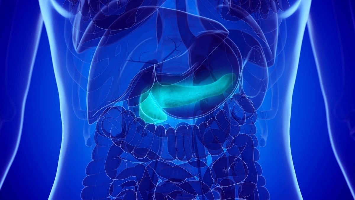 Timing of Chemo Could Be Key to Pancreatic Cancer Outcomes