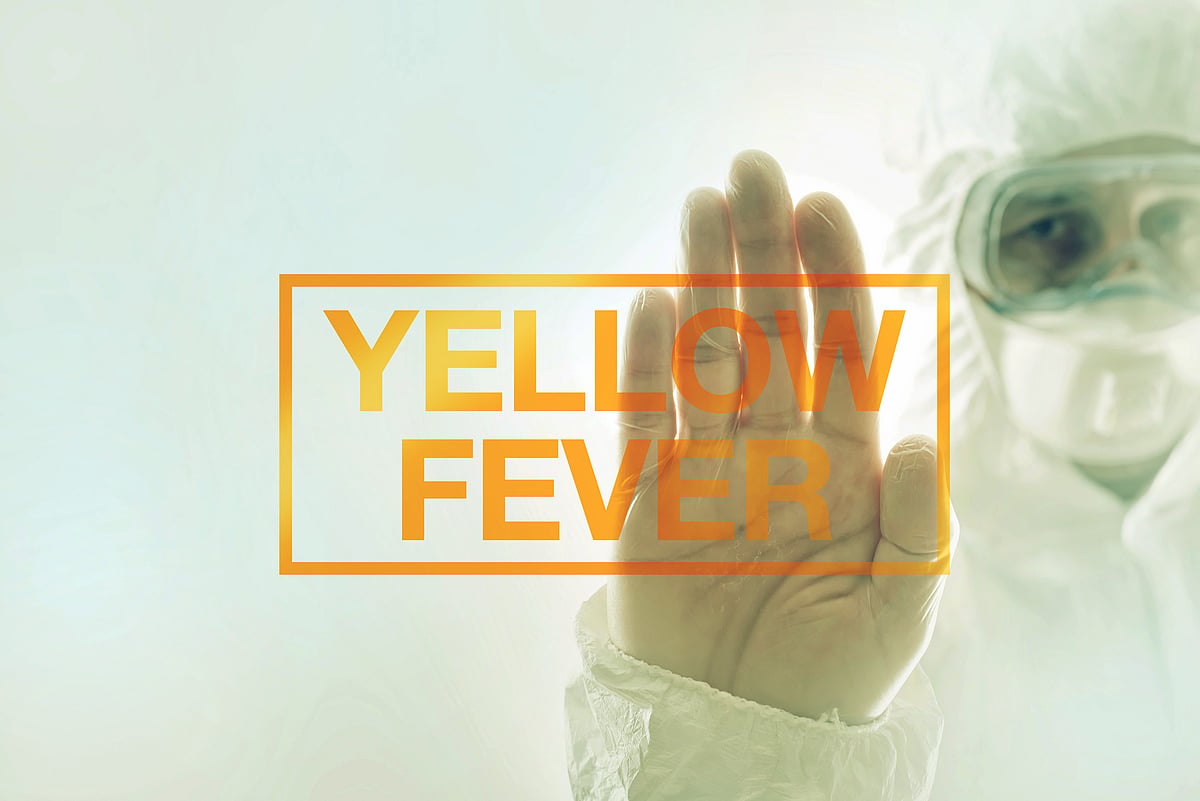 This Travel Season, Know Your Risks for Yellow Fever