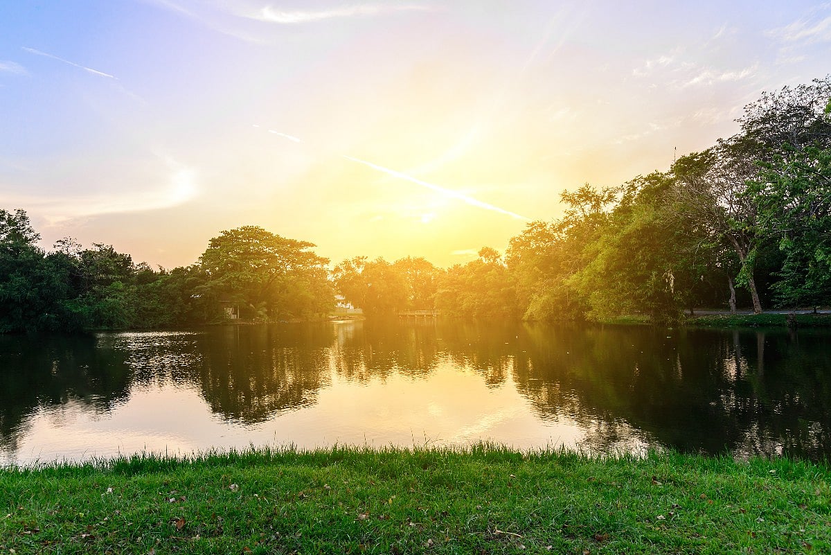 More Green Spaces, Lakes Bring Fewer Hardened Arteries