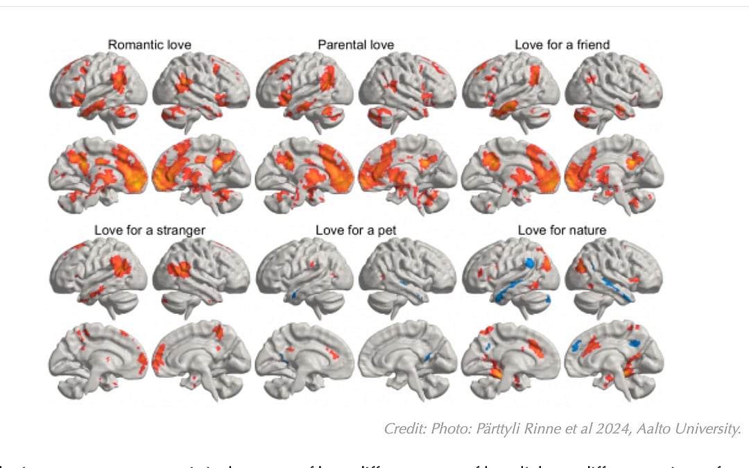 Science Probes Where Loves Lives in the Brain