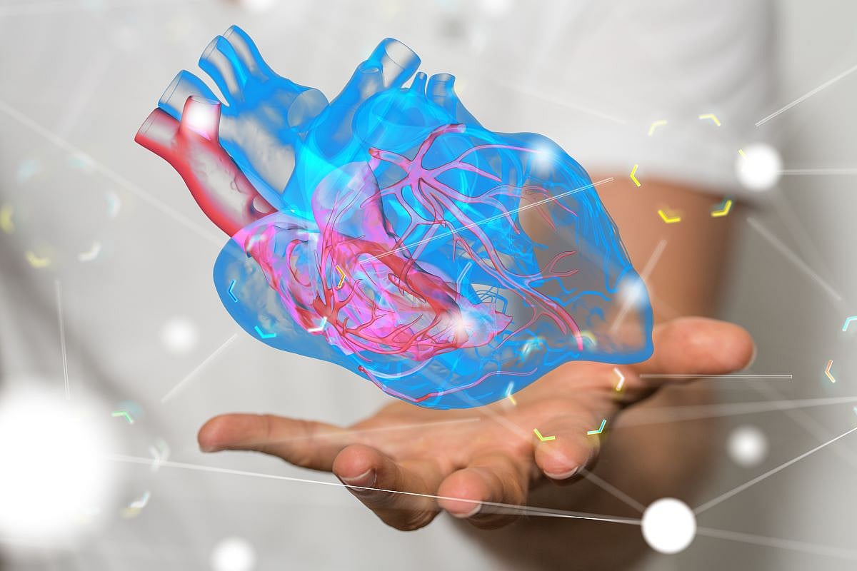 Endometriosis Linked to Higher Heart Risks for Women
