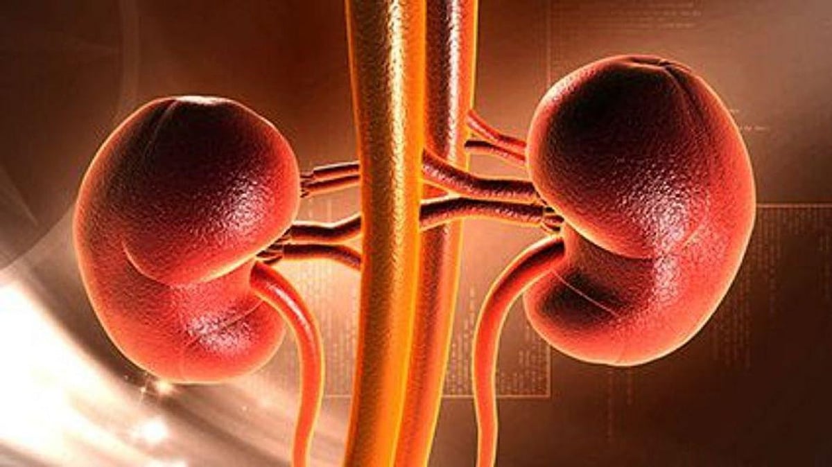 Recommendations Updated for Management of Anemia in CKD - Drugs.com MedNews