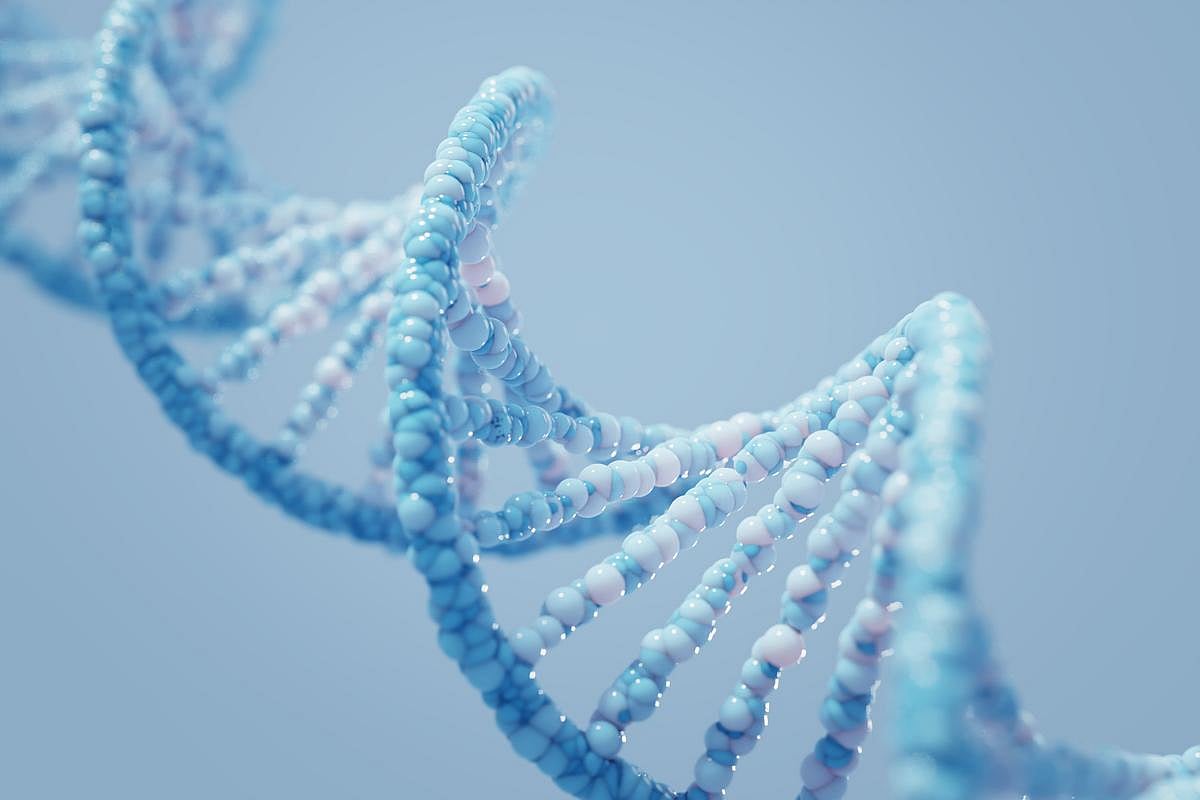 Gene Therapy Reverses a Rare Cause of Vision Loss
