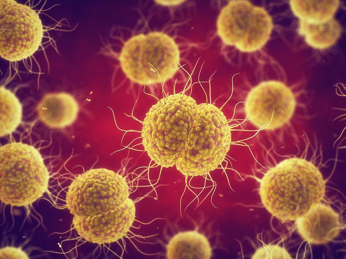 New Cervix-On-A-Chip May Revolutionize STI Treatment