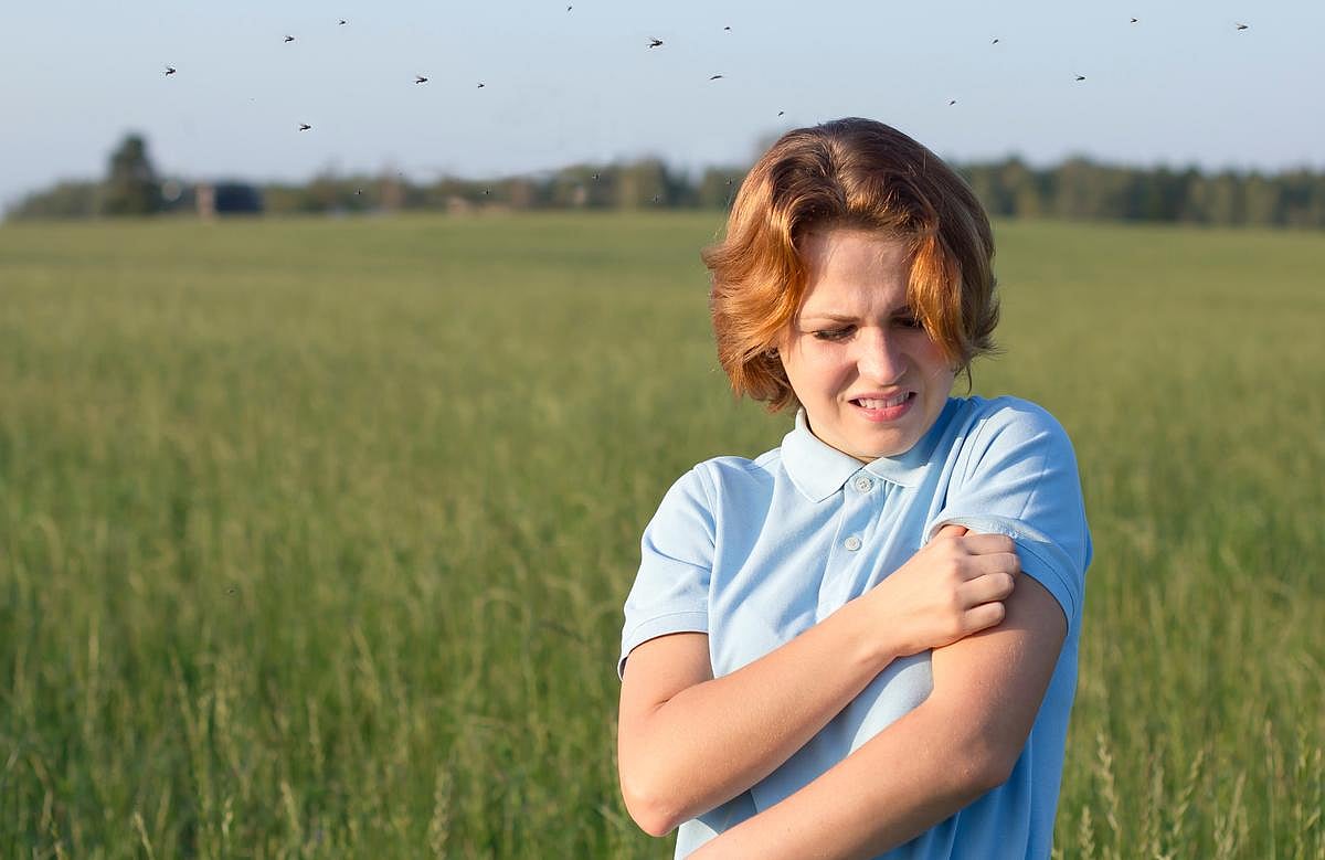 As Forests Shrink, Mosquitoes Are Turning to Humans for Blood