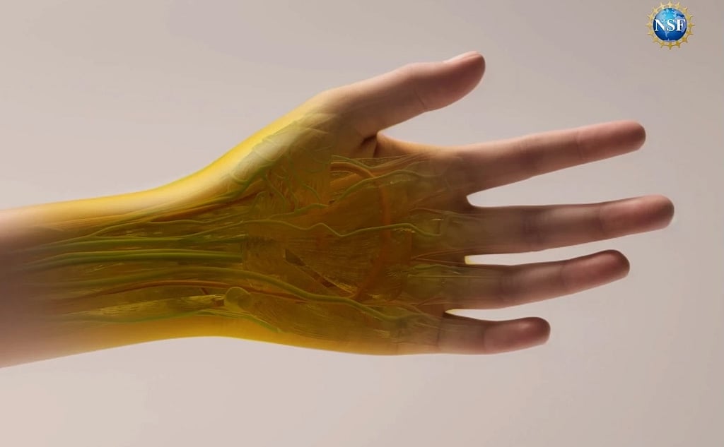 Scientists Use Food Dye to Render Mouse Skin Transparent
