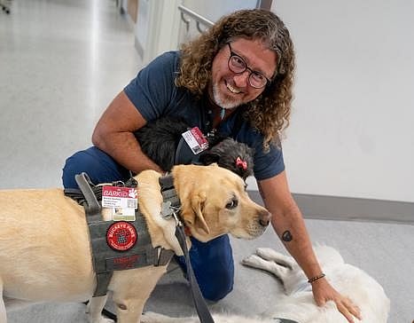 Therapy Dogs Can Ease Nurses', Doctors' Stress, Too
