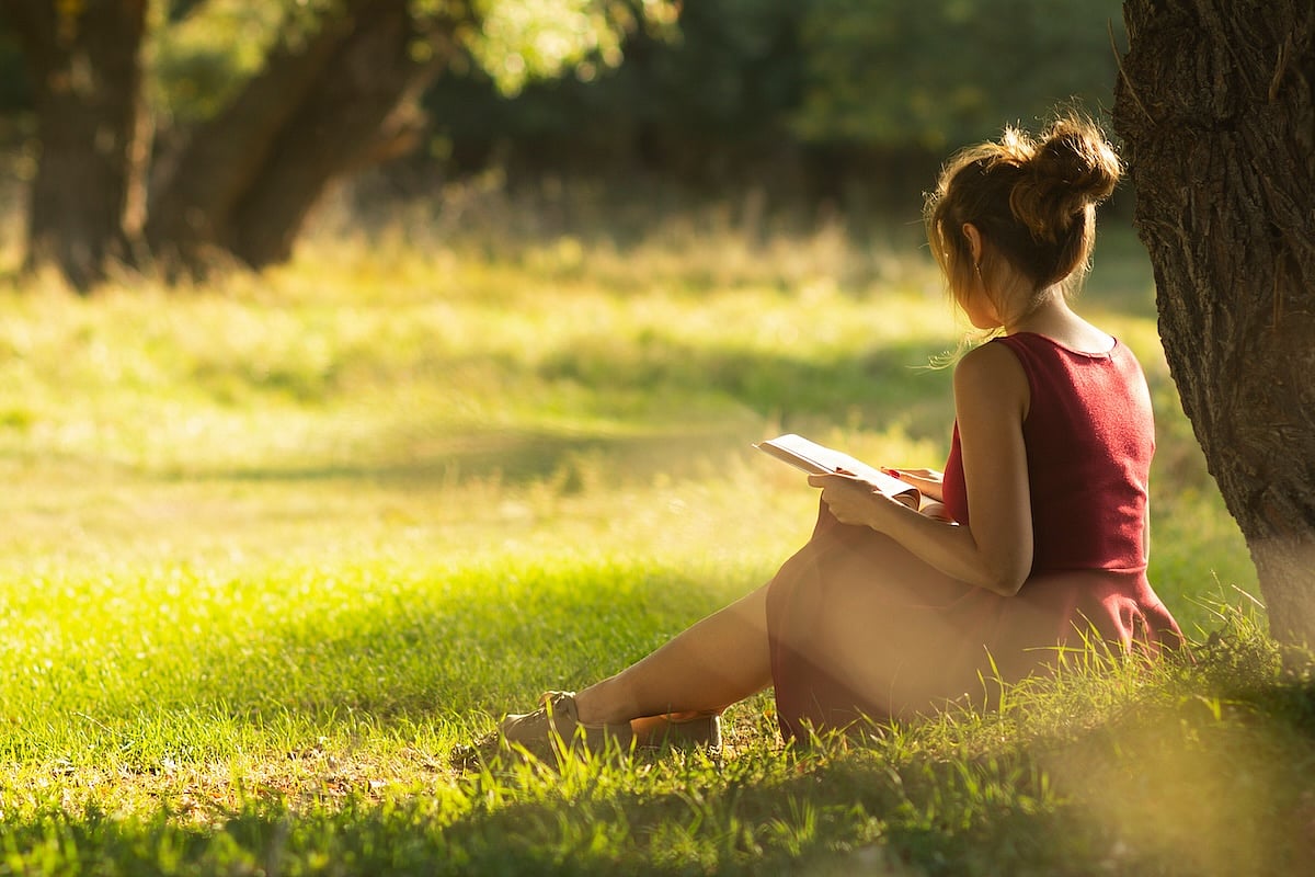 Trees and Student Test Scores: What's the Link?