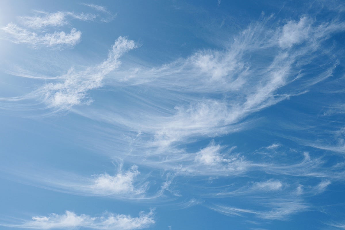 Scientists Develop Rapid Bird Flu Detector for Airborne Test